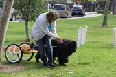Enlarge photo 24