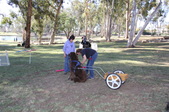 Draft TrainingTri-City Park in Placentia