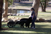 Enlarge photo 9