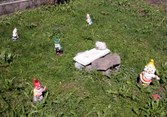 Enlarge photo 5