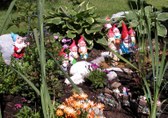 Enlarge photo 9