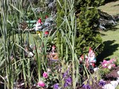 Enlarge photo 10