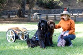Fall Draft Training @ Irvine Park