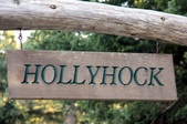 Hollyhock Part #2