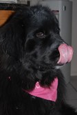 Enlarge photo 10
