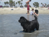 Enlarge photo 21