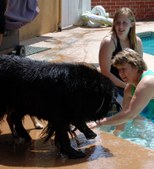 Imp's First Swim