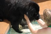 Enlarge photo 11