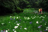 Enlarge photo 24