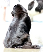 Enlarge photo 2