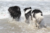 Enlarge photo 21