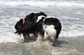 Enlarge photo 22