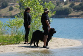 Enlarge photo 13