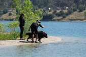 Enlarge photo 14