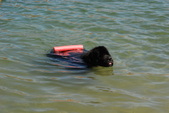 Enlarge photo 22