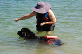Enlarge photo 24