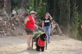 Enlarge photo 15
