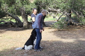 Enlarge photo 12