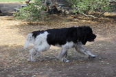 Enlarge photo 16