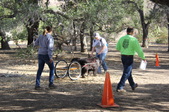 Enlarge photo 10