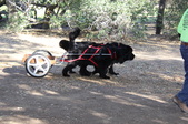 Enlarge photo 7