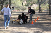 Enlarge photo 10