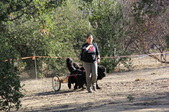 Enlarge photo 19