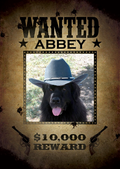 Abbey