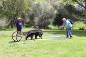 Enlarge photo 13