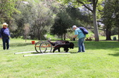Enlarge photo 14