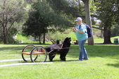 Enlarge photo 16