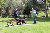 Enlarge photo 17