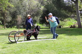 Enlarge photo 18