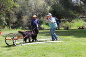 Enlarge photo 19