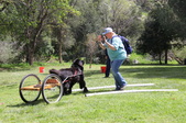 Enlarge photo 21
