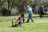 Enlarge photo 23