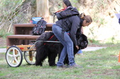 Enlarge photo 6