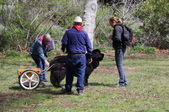 Enlarge photo 9