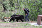 Enlarge photo 14