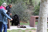 Enlarge photo 16