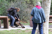 Enlarge photo 17