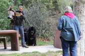 Enlarge photo 20