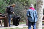 Enlarge photo 22