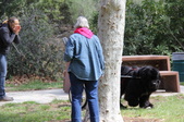Enlarge photo 23