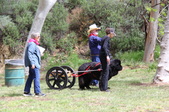 Enlarge photo 2