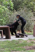 Enlarge photo 13