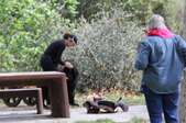 Enlarge photo 14