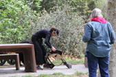 Enlarge photo 16