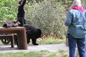 Enlarge photo 19