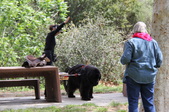 Enlarge photo 21